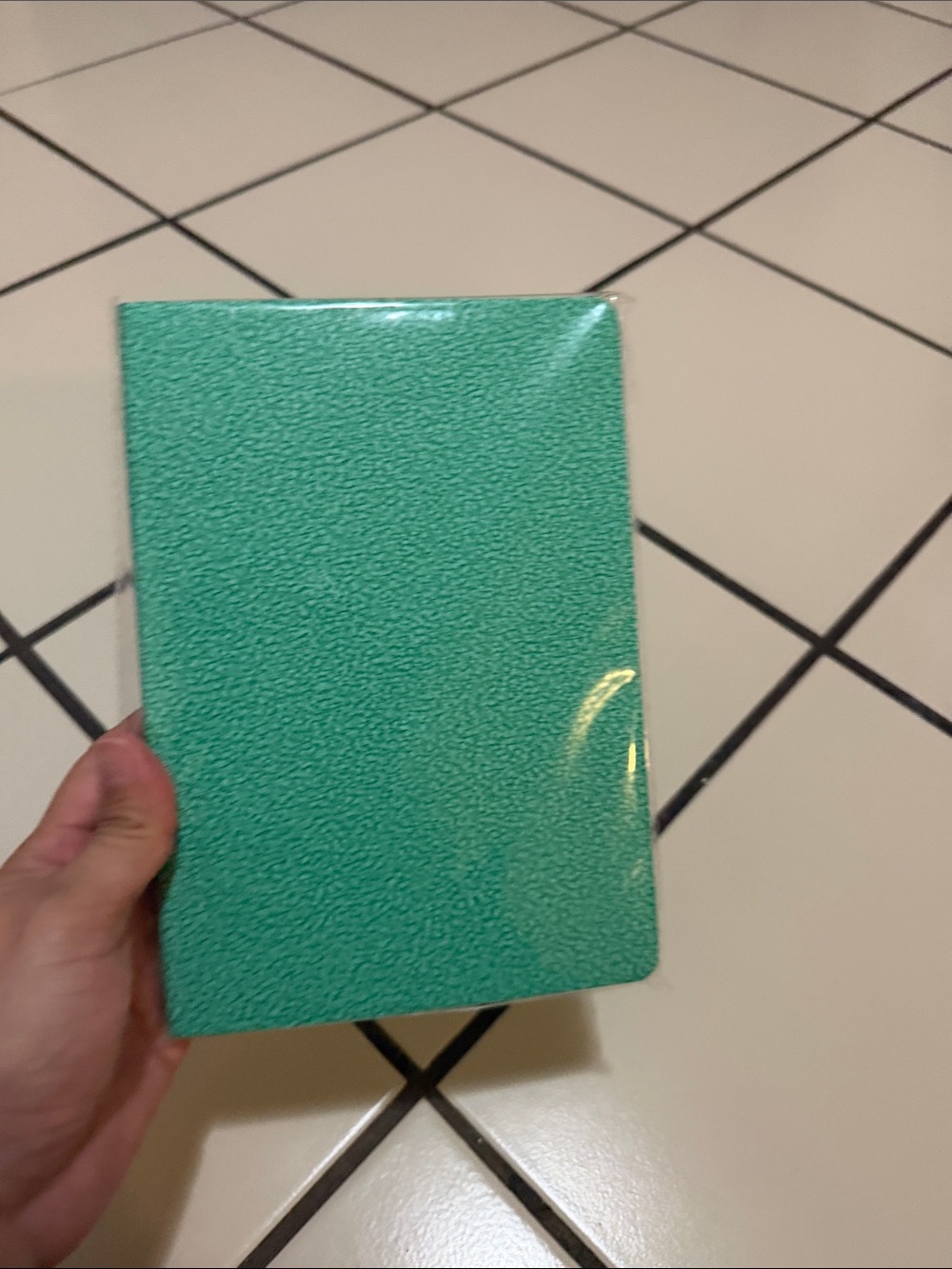 Turquoise notebook